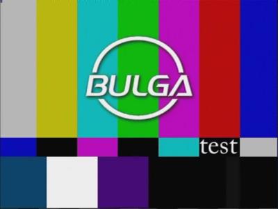 Bulga