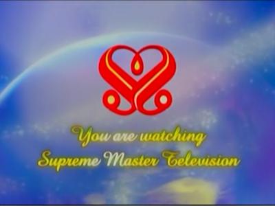 Supreme Master TV