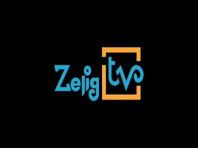 Zelig TV